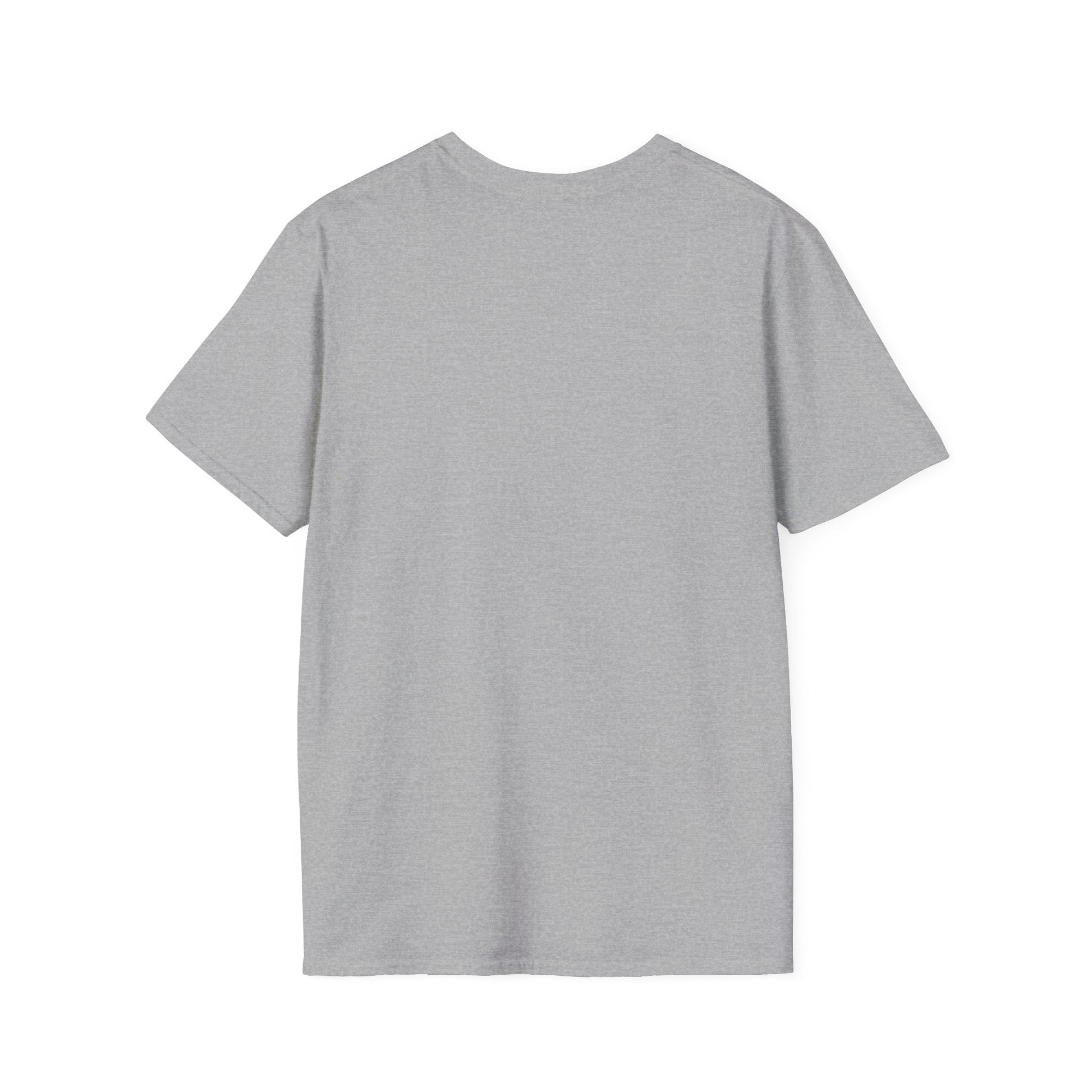 Back view of a gray unisex softstyle t-shirt, perfect for casual and semi-formal occasions.