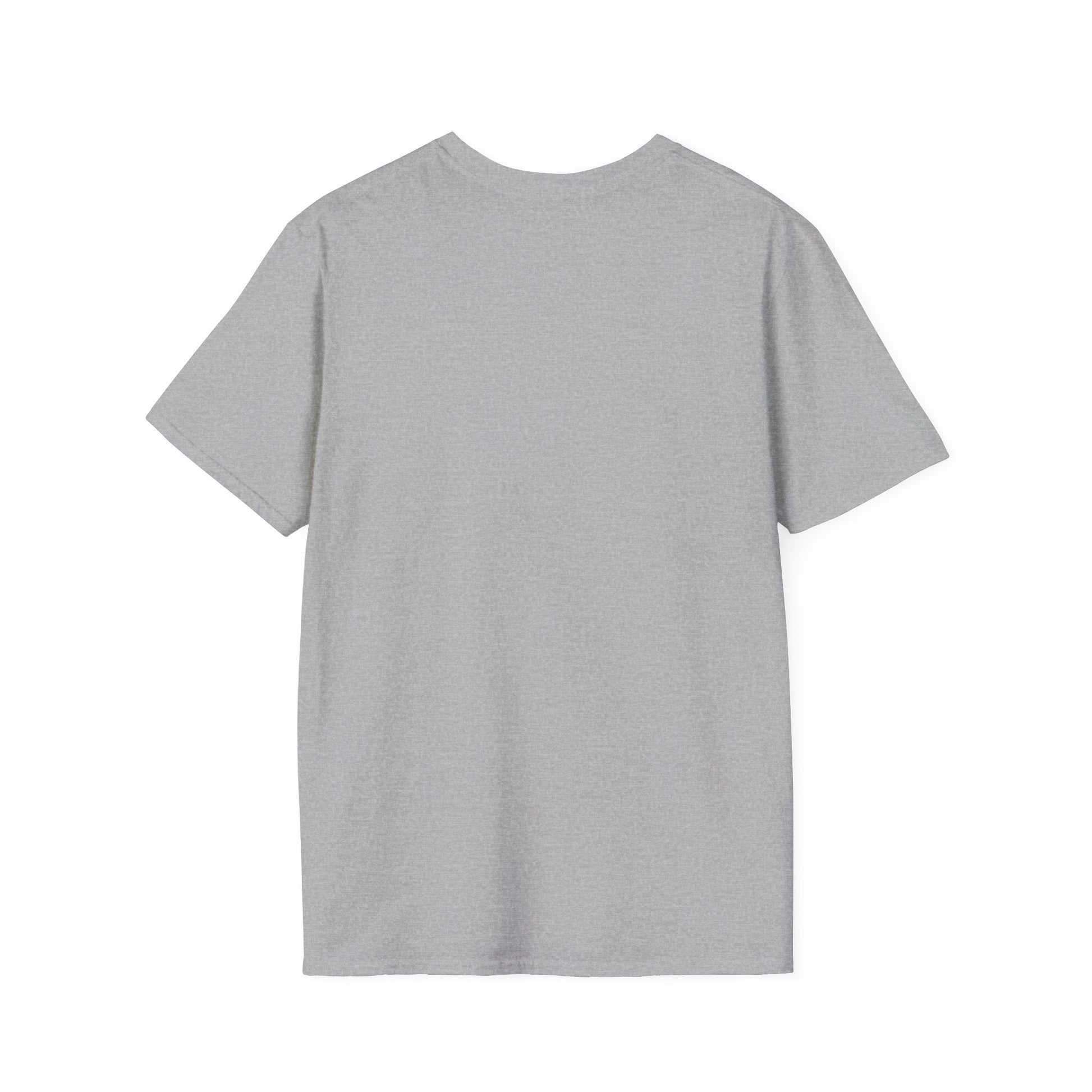 Back view of a gray unisex t-shirt, perfect for casual summer outfits and beach days.