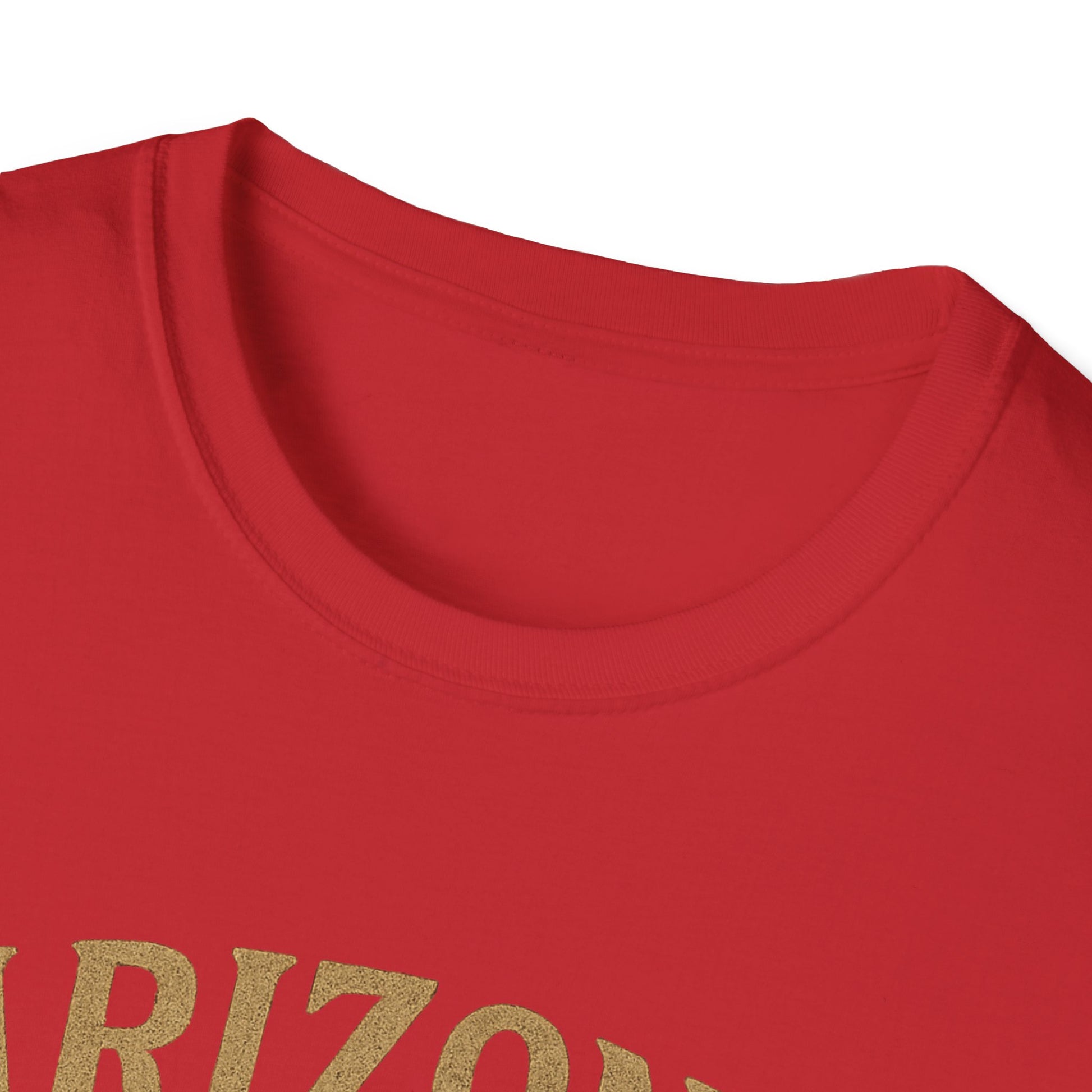Arizona Retro Graphic T-Shirt, Vintage Style Tee, Cactus Shirt, Southwest Apparel.